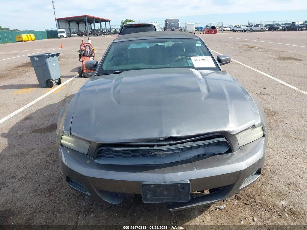 1ZVBP8EN5A5140442 2010 FORD MUSTANG photo no. 6