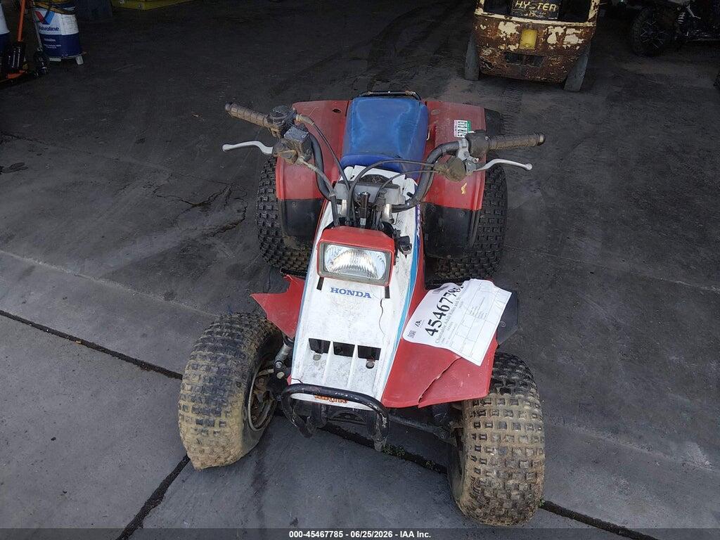 JH3TE0302GK063337 1986 HONDA TRX200 photo no. 5
