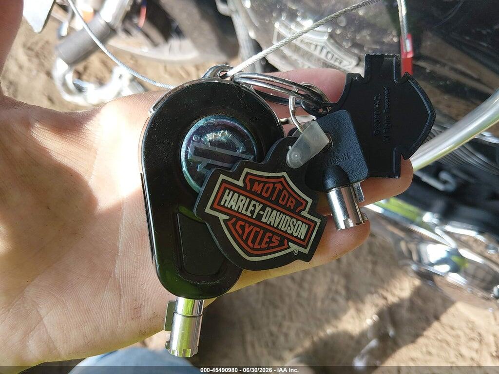 1HD1KRP16MB637663 2021 HARLEY-DAVIDSON FLHXS photo no. 11