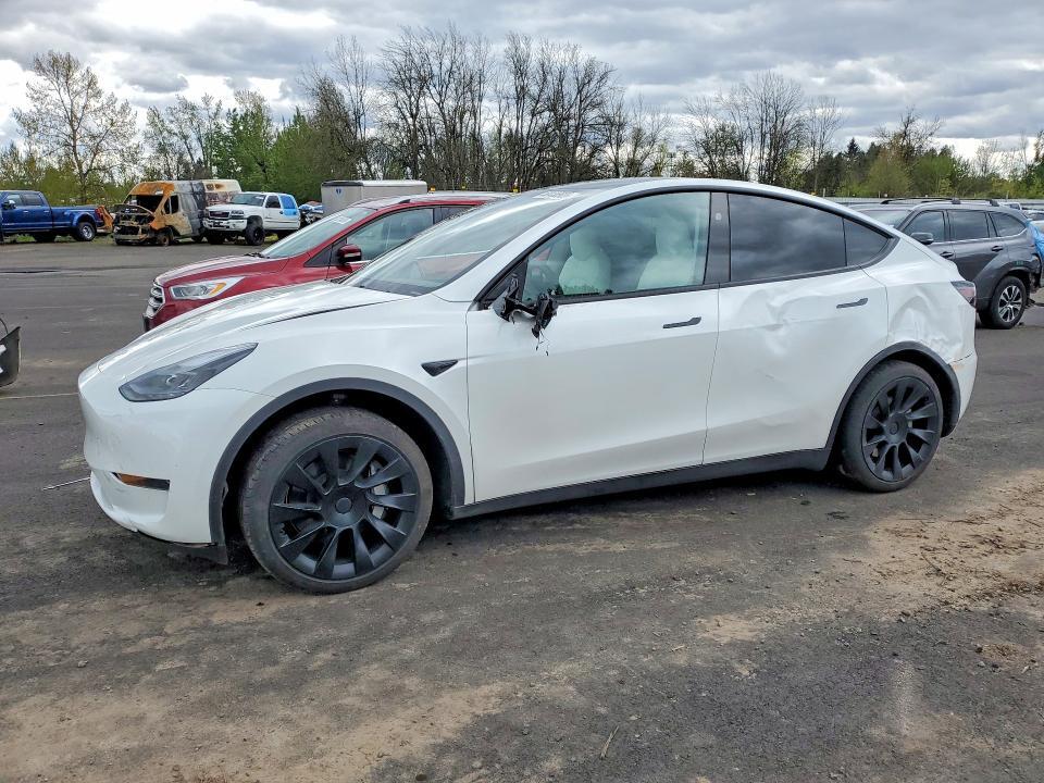 7SAYGDED0SF281595 2025 TESLA MODEL Y photo no. 1