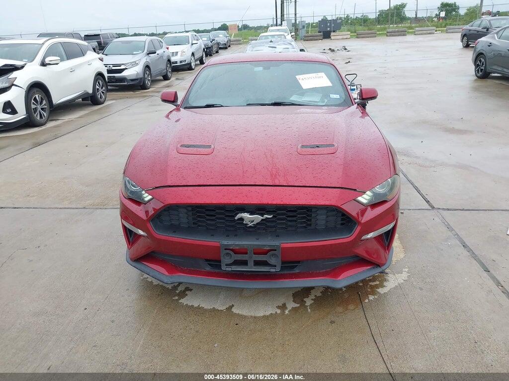1FA6P8TH1K5174953 2019 FORD MUSTANG photo no. 12
