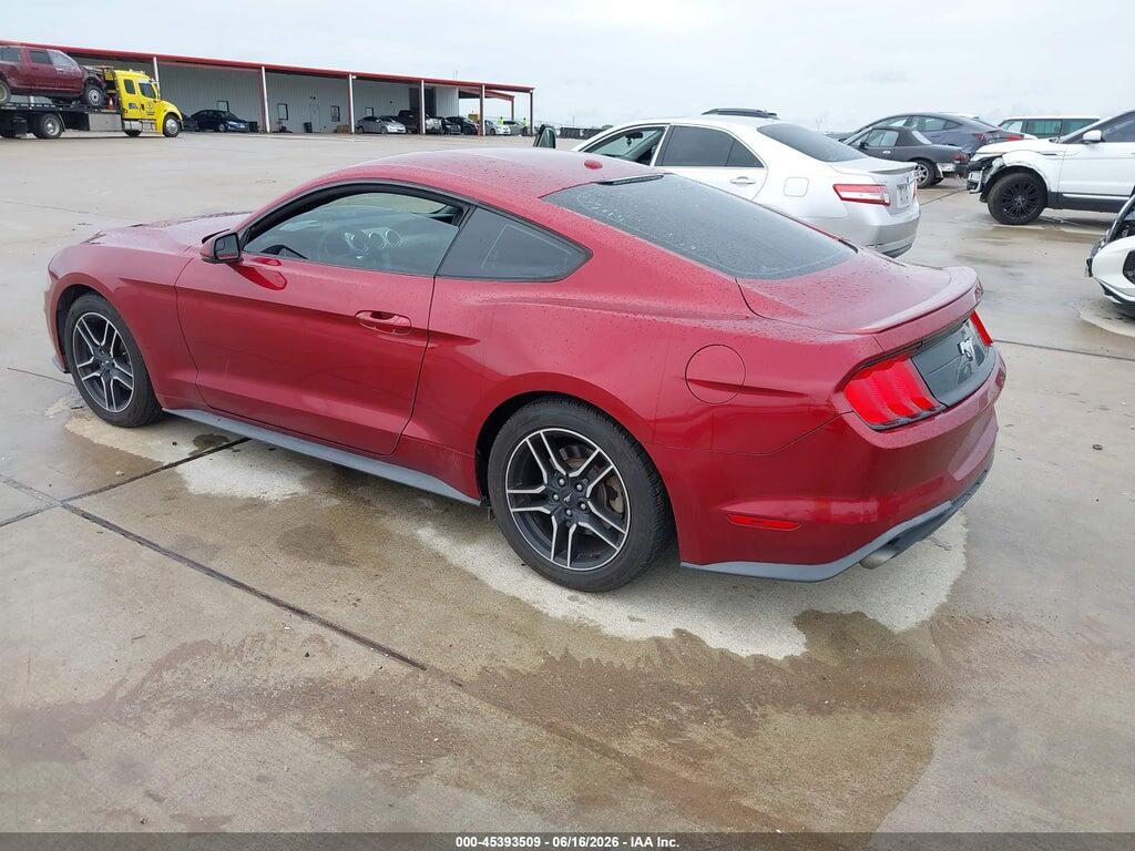 1FA6P8TH1K5174953 2019 FORD MUSTANG photo no. 3