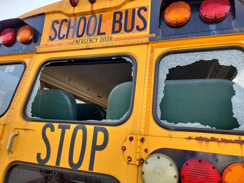 2005 BLUEBIRD ALL AMERICAN - FE - SCHOOL BUS — Фото 9 из 10
