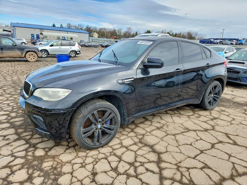 5YMGZ0C59DLL30078 2013 BMW X6 photo no. 1