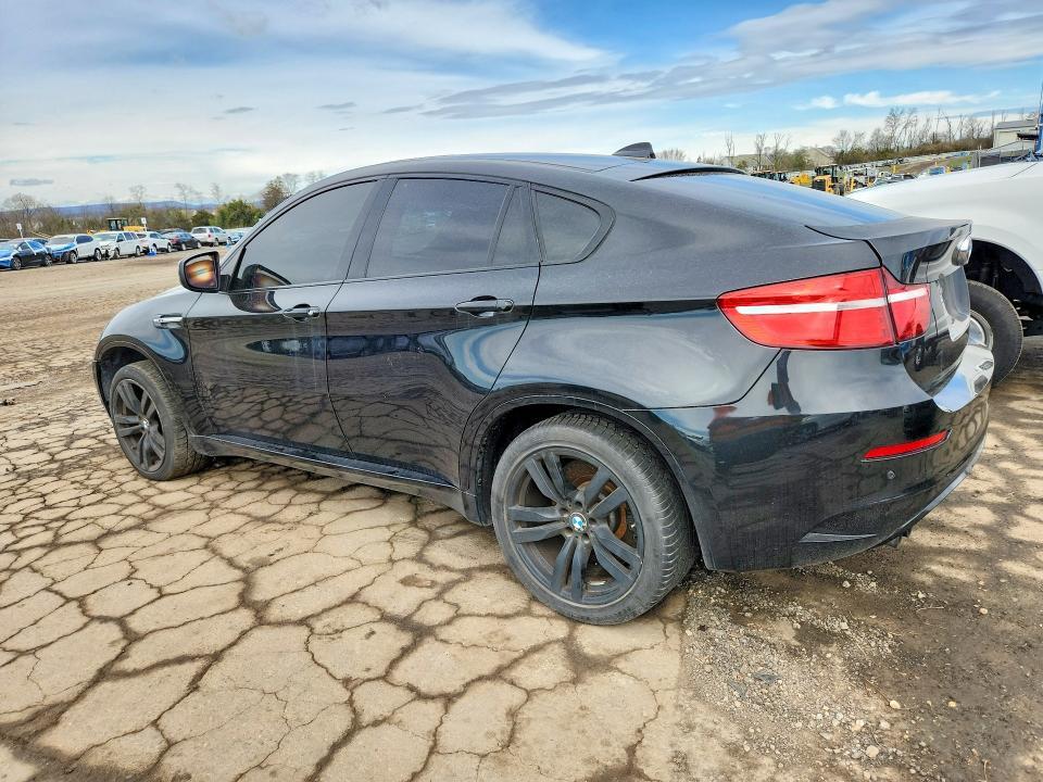 5YMGZ0C59DLL30078 2013 BMW X6 photo no. 2
