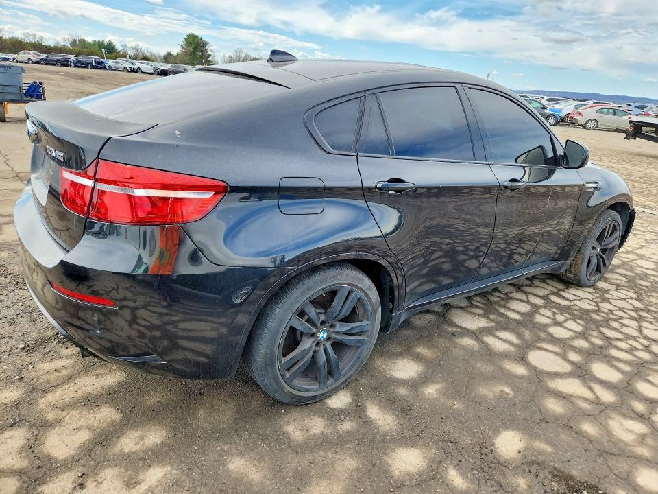 5YMGZ0C59DLL30078 2013 BMW X6 photo no. 3