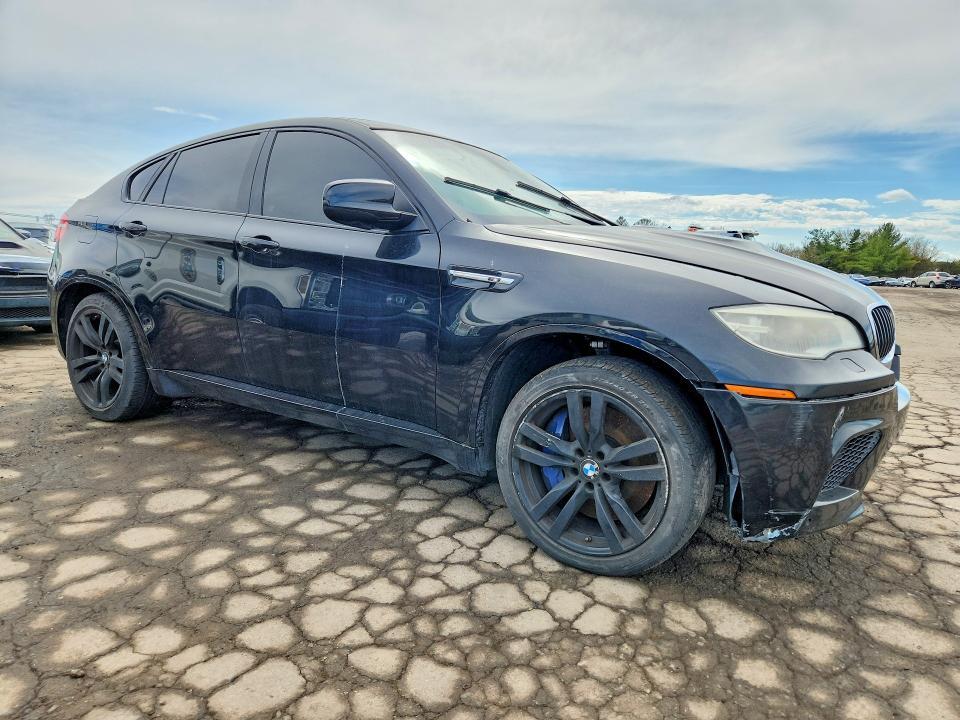 5YMGZ0C59DLL30078 2013 BMW X6 photo no. 4