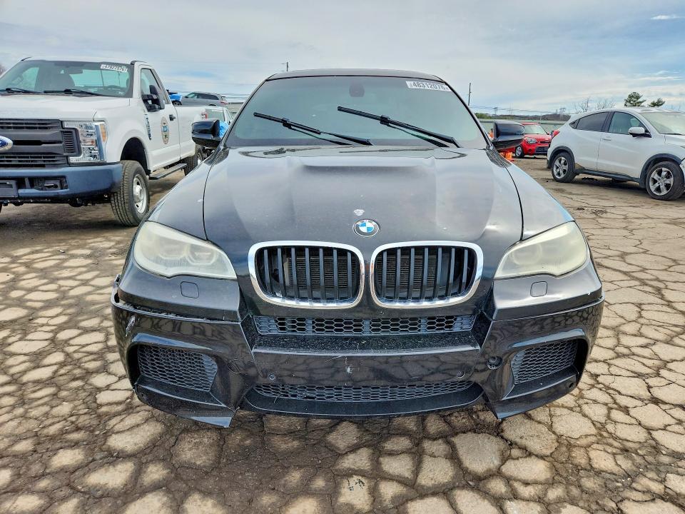 5YMGZ0C59DLL30078 2013 BMW X6 photo no. 5
