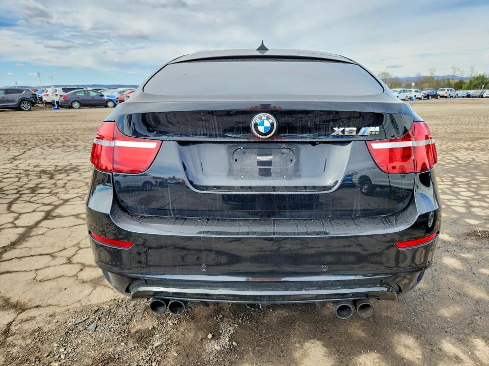 5YMGZ0C59DLL30078 2013 BMW X6 photo no. 6