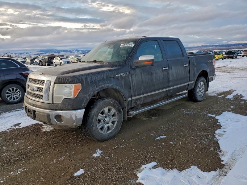 1FTFW1EFXBFA43384 2011 FORD F150 photo no. 1