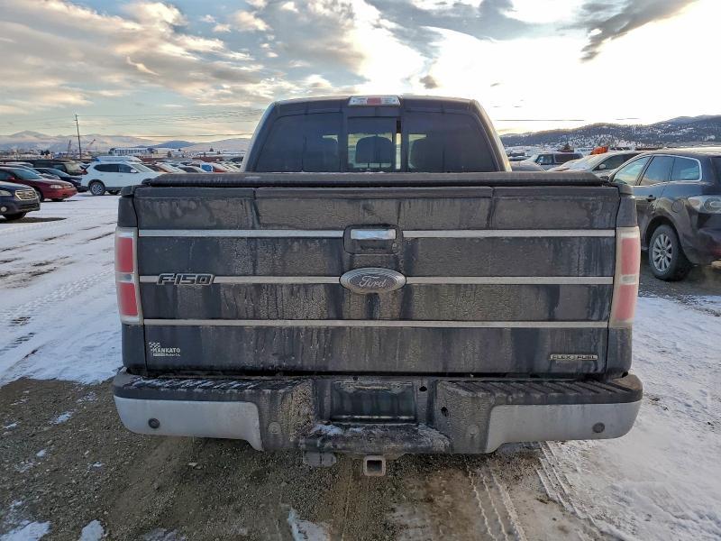 1FTFW1EFXBFA43384 2011 FORD F150 photo no. 6