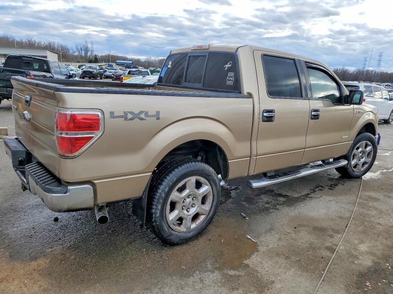 1FTFW1ET8EKE50492 2014 FORD F150 photo no. 3