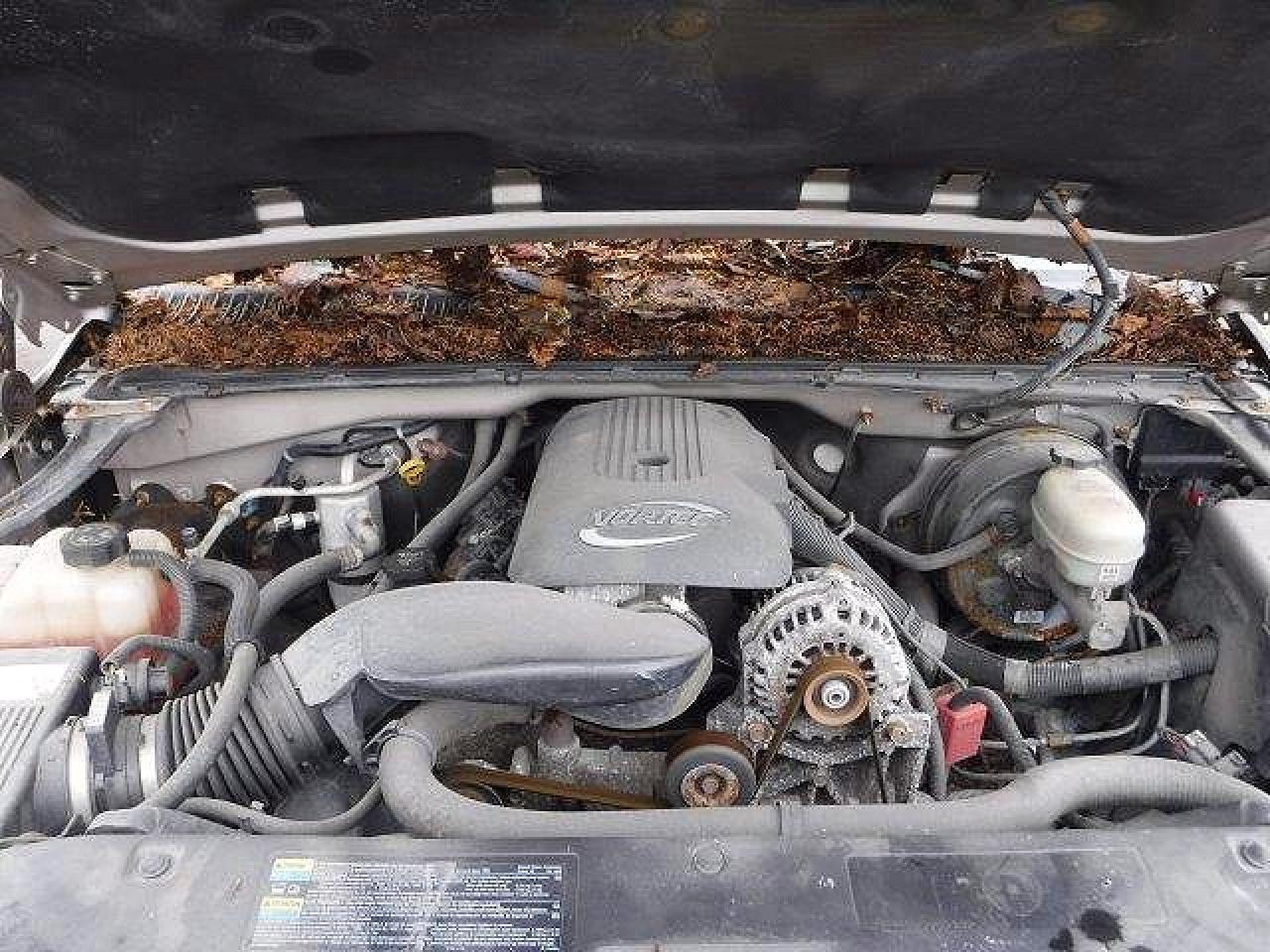 2006 GMC NEW SIERRA K1500 — Фото 6 из 9