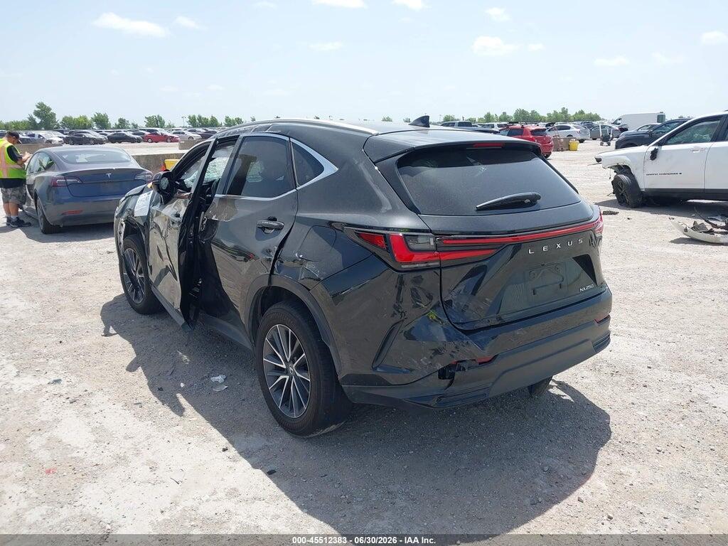 2T2GDCAZ7RC006300 2024 LEXUS NX 250 photo no. 3