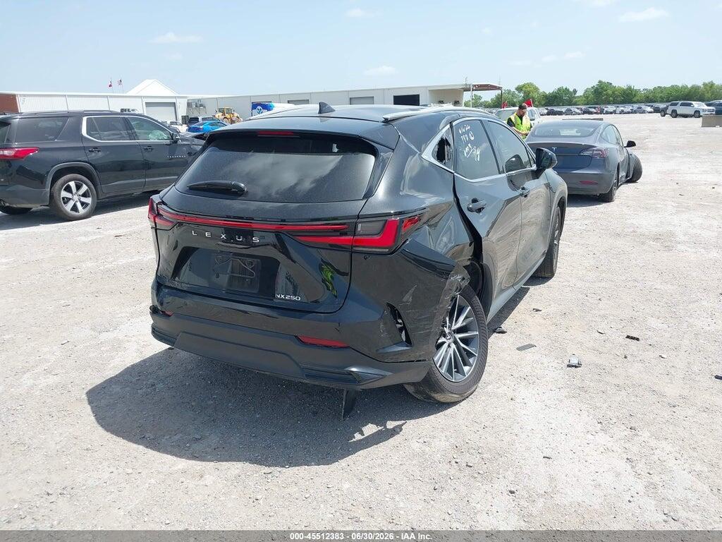 2T2GDCAZ7RC006300 2024 LEXUS NX 250 photo no. 4