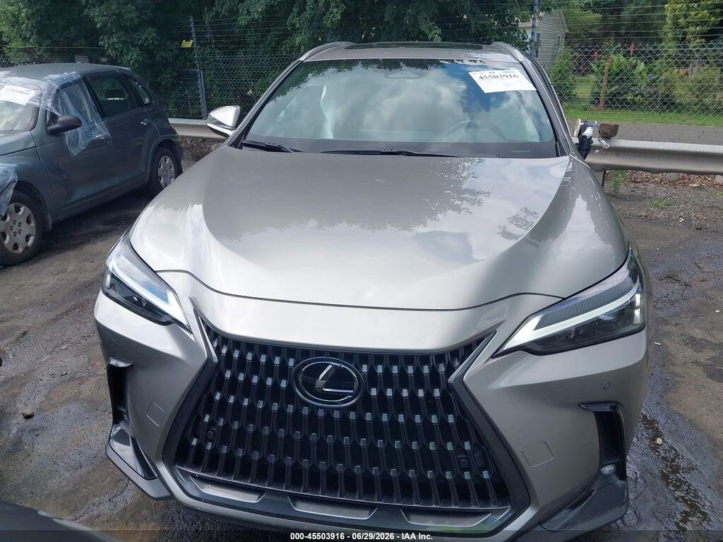 2T2GDCAZ2SC024046 2025 LEXUS NX 250 photo no. 12