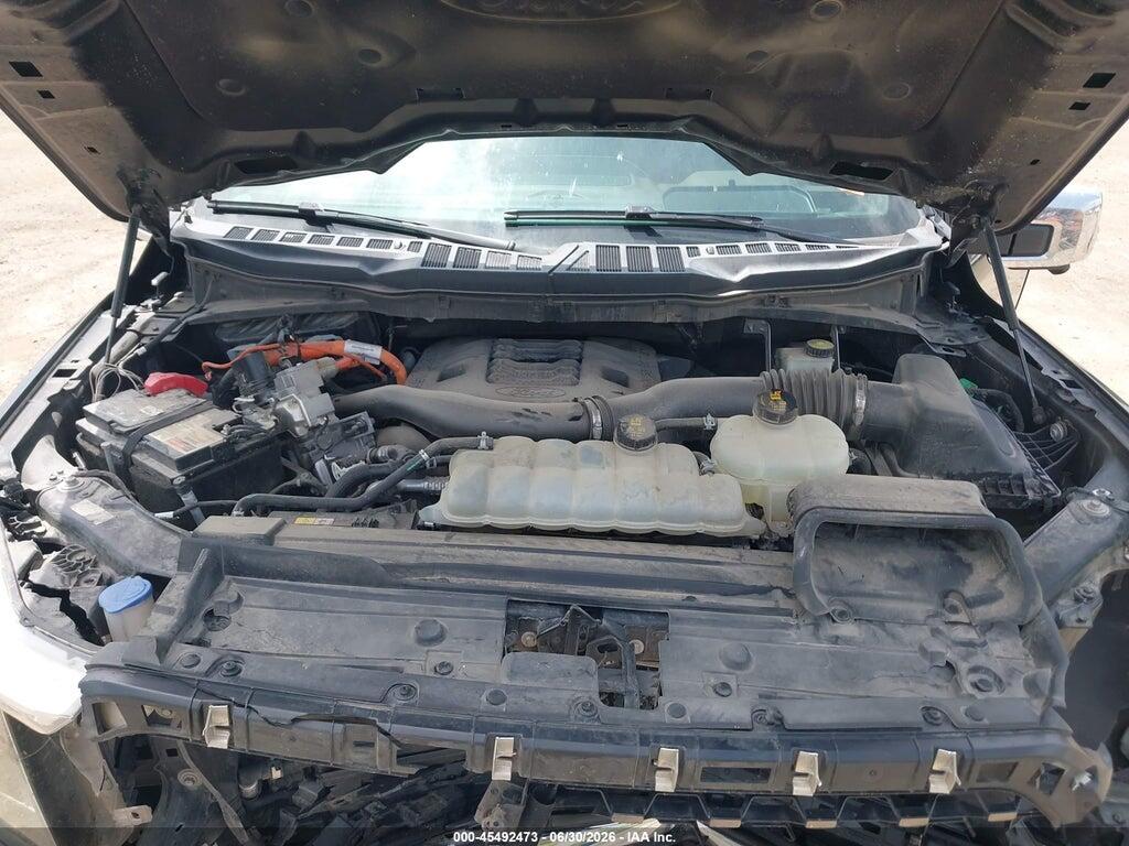 1FTFW1ED5MFC05410 2021 FORD F-150 photo no. 10