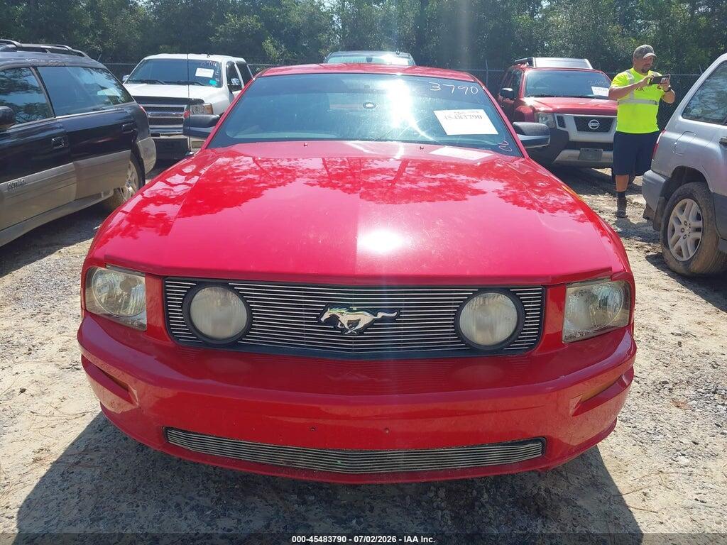 1ZVHT82H965118469 2006 FORD MUSTANG photo no. 12
