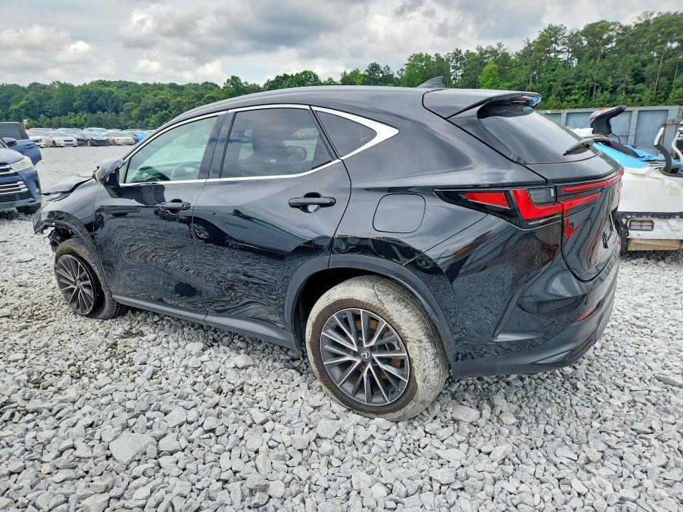 2024 LEXUS NX 350 PREMIUM — Фото 2 из 12