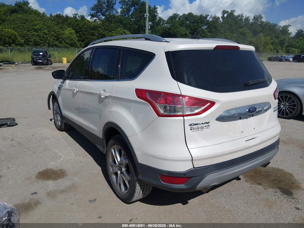 1FMCU0JX7EUC99754 2014 FORD ESCAPE photo no. 3