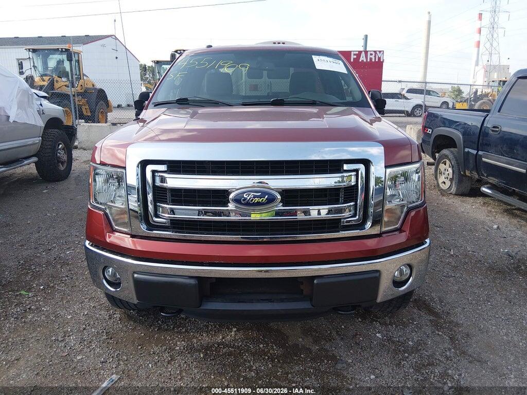 1FTMF1EM0EKE46842 2014 FORD F-150 photo no. 12