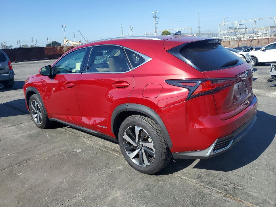 2021 LEXUS NX 300H BASE — Фото 2 из 12
