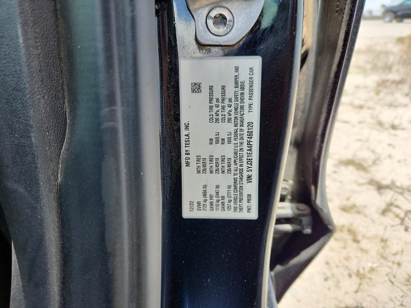 5YJ3E1EA4PF460120 2023 TESLA MODEL 3 photo no. 12