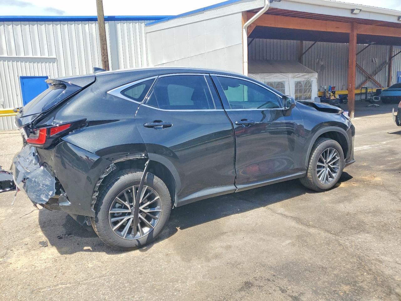 2023 LEXUS NX 350 — Фото 3 из 14