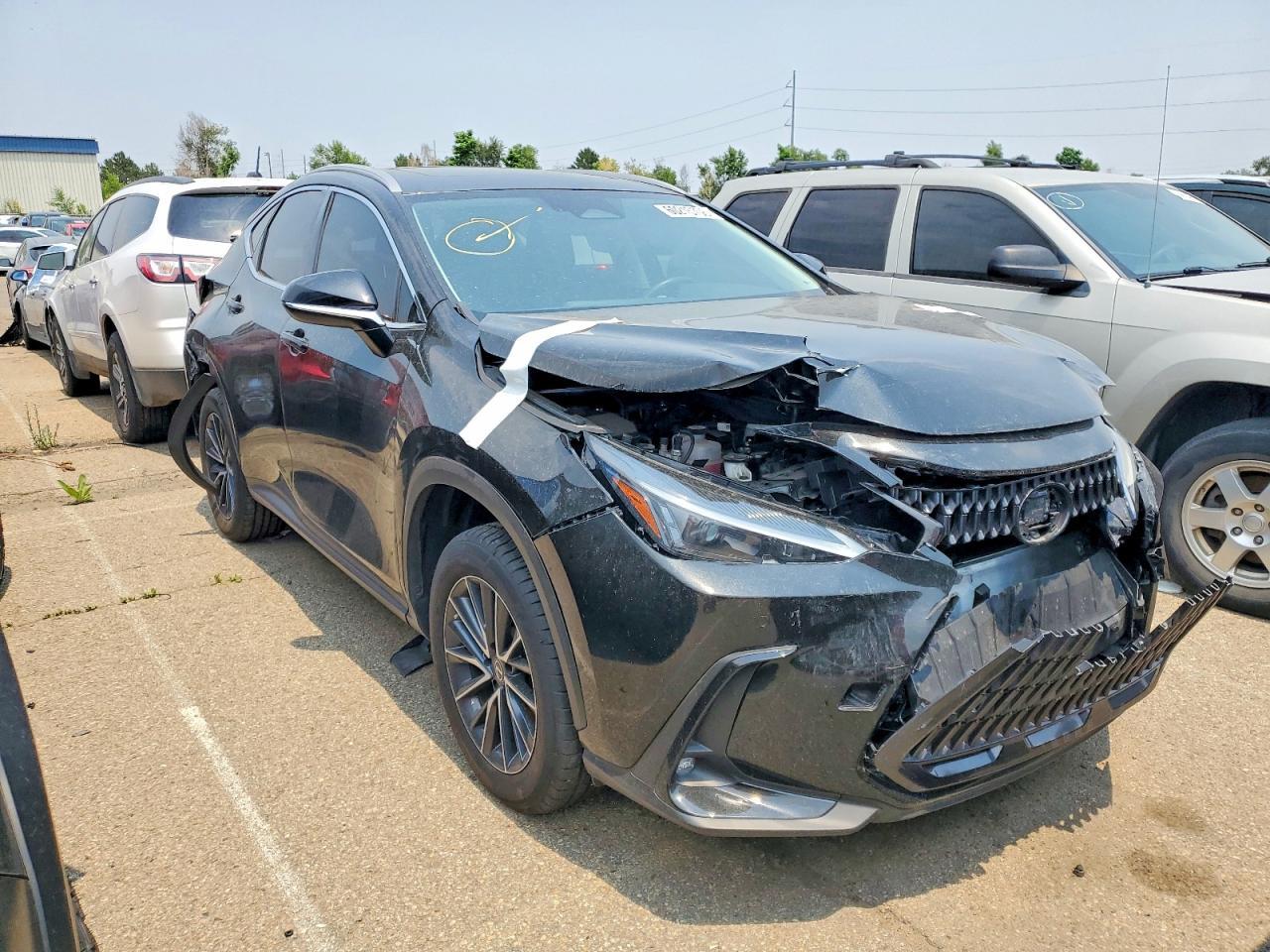 2023 LEXUS NX 350 — Фото 4 из 14