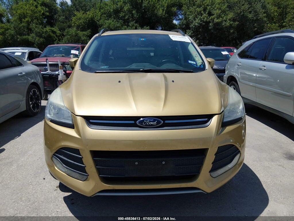 1FMCU0GX6EUB97482 2014 FORD ESCAPE photo no. 6