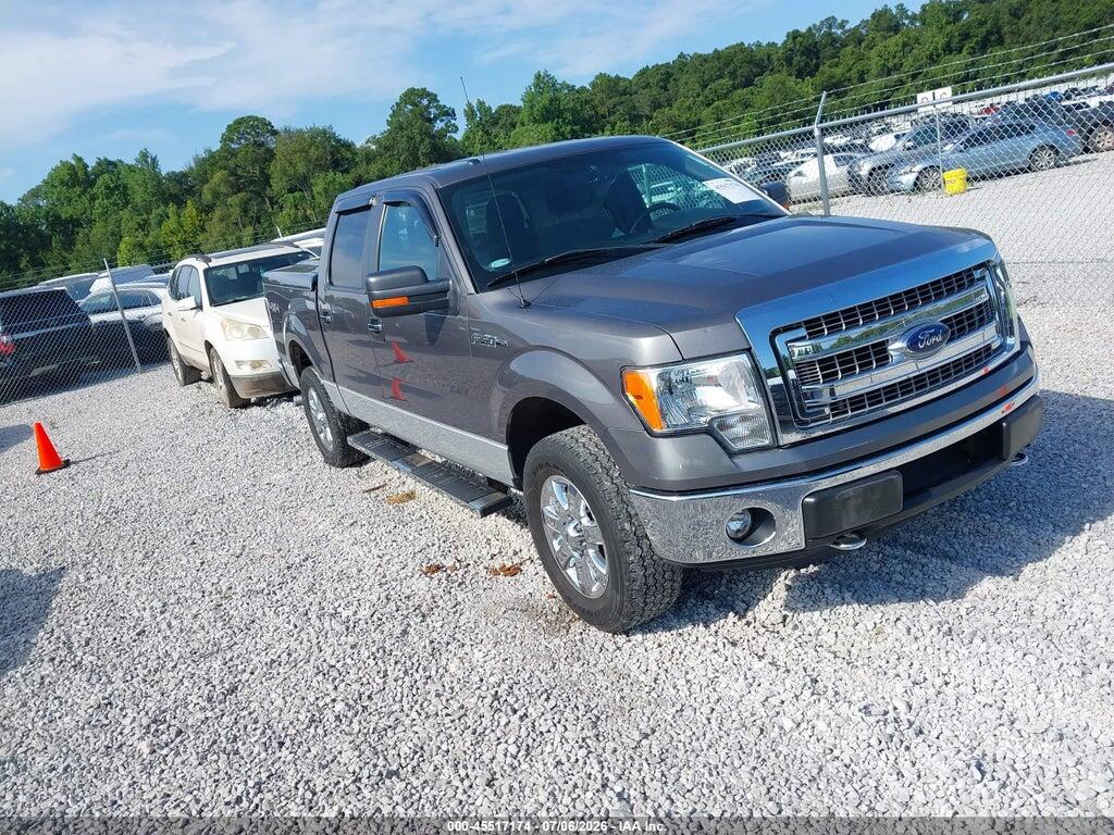 1FTFW1EF4DKD34196 2013 FORD F-150 photo no. 1