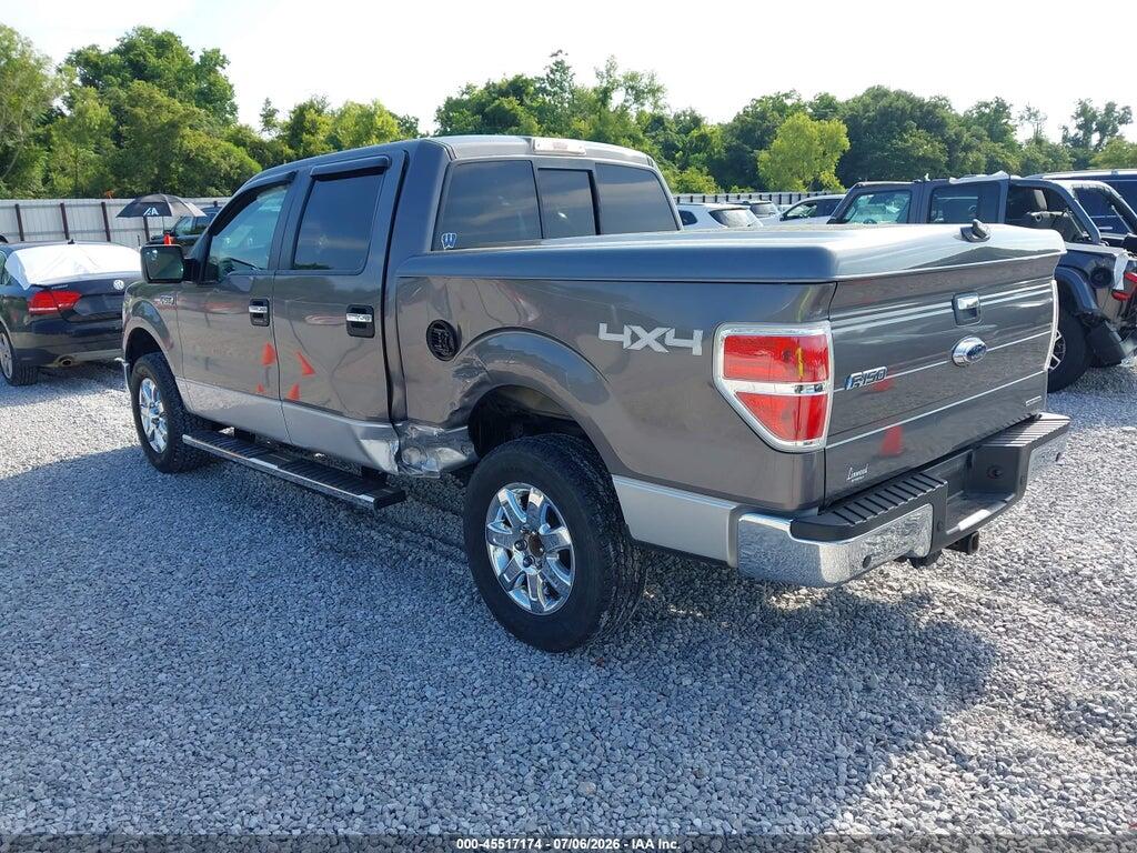 1FTFW1EF4DKD34196 2013 FORD F-150 photo no. 3