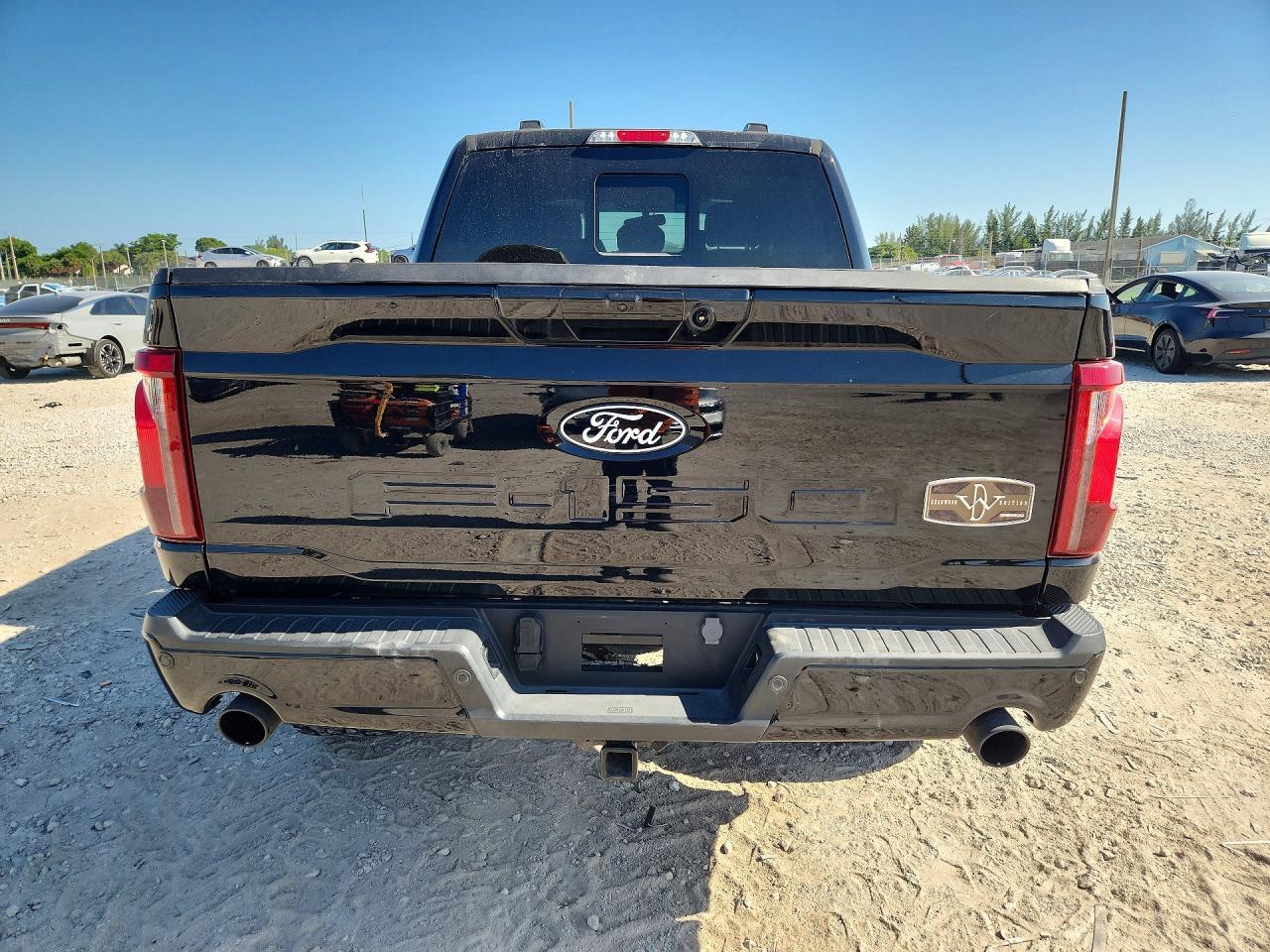 2024 FORD F150 XLT — Фото 6 из 12