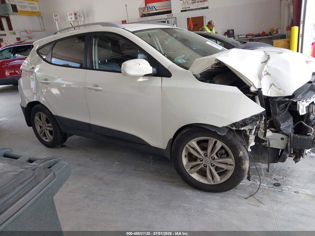 KM8JUCAC5AU071087 2010 HYUNDAI TUCSON photo no. 12