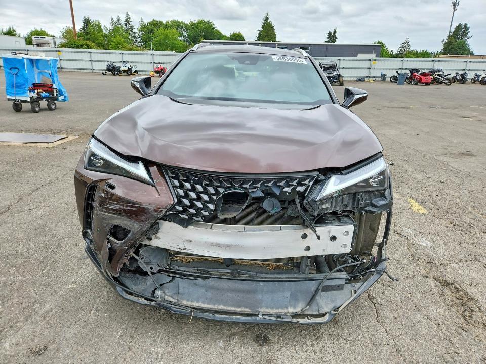2019 LEXUS UX 250H — Фото 5 из 12