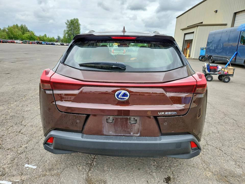 2019 LEXUS UX 250H — Фото 6 из 12