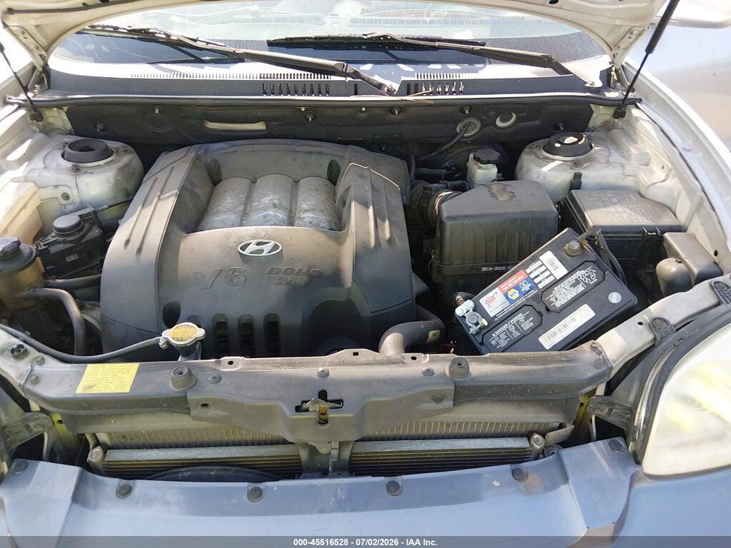 KM8SC13D54U817172 2004 HYUNDAI SANTA FE photo no. 10