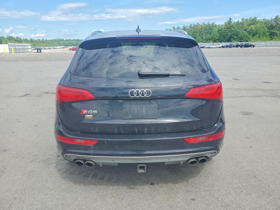 WA1CGAFP8FA060852 2015 AUDI SQ5 photo no. 6