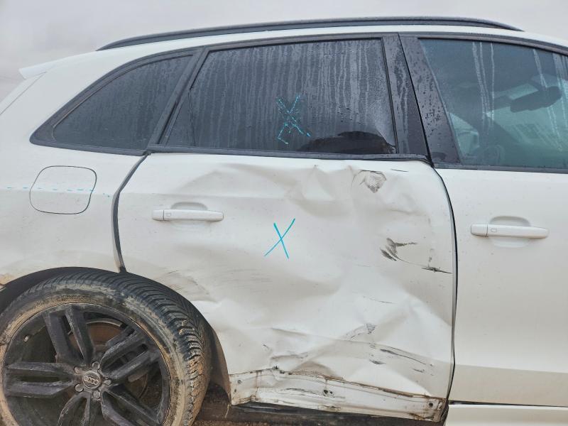WA1CGAFP0FA104648 2015 AUDI SQ5 photo no. 11