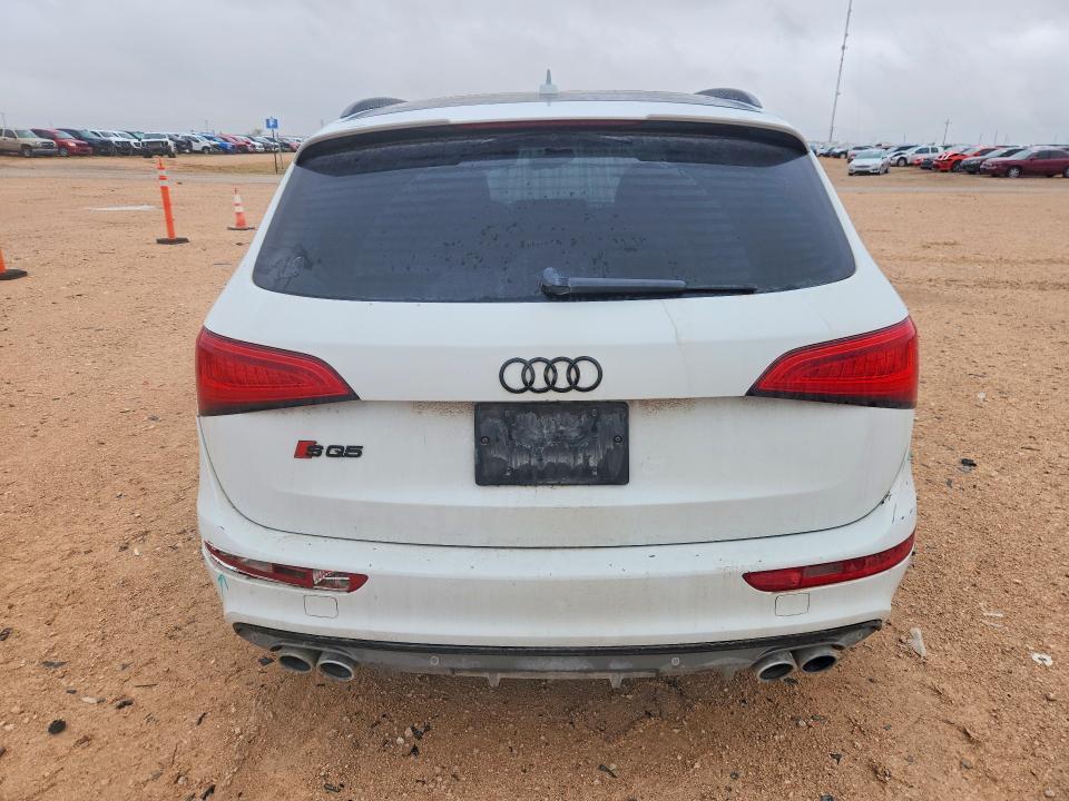 WA1CGAFP0FA104648 2015 AUDI SQ5 photo no. 6