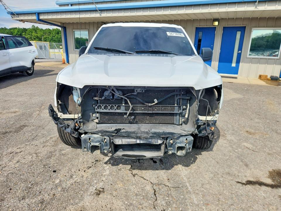 1FTMF1CP9FKE52959 2015 FORD F150 photo no. 5