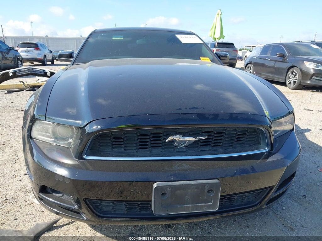 1ZVBP8AM4E5226375 2014 FORD MUSTANG photo no. 12