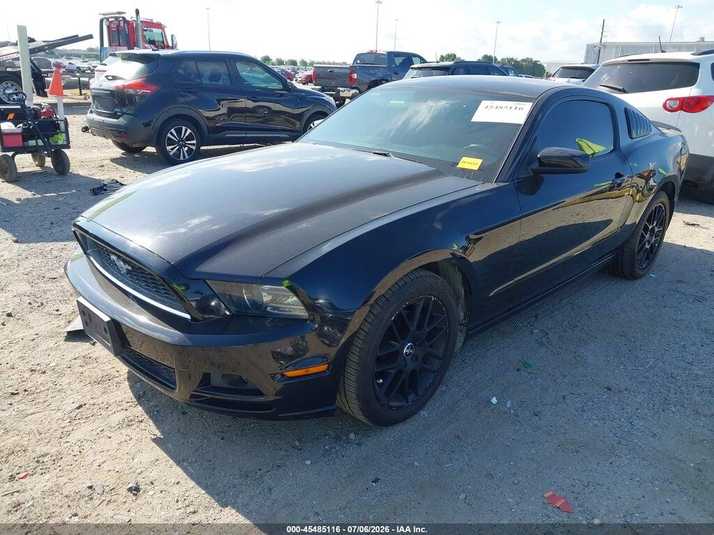 1ZVBP8AM4E5226375 2014 FORD MUSTANG photo no. 2