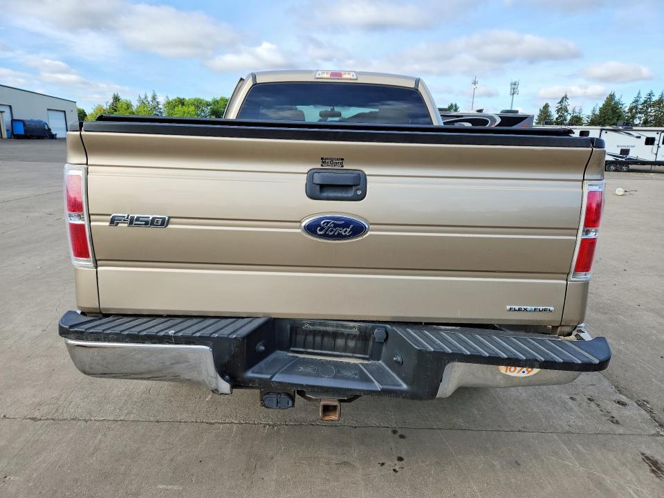 1FTEX1EM9EFB47800 2014 FORD F150 photo no. 6