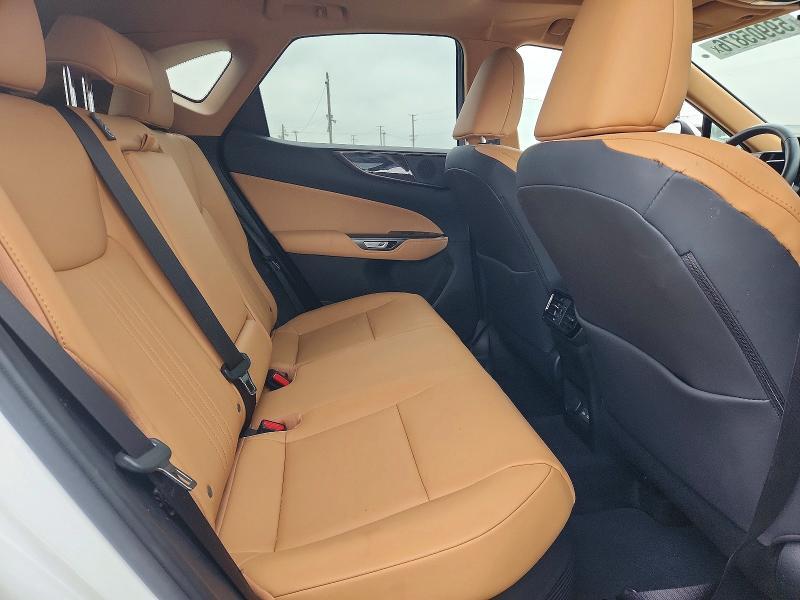 2024 LEXUS NX 350H PREMIUM — Фото 11 из 13