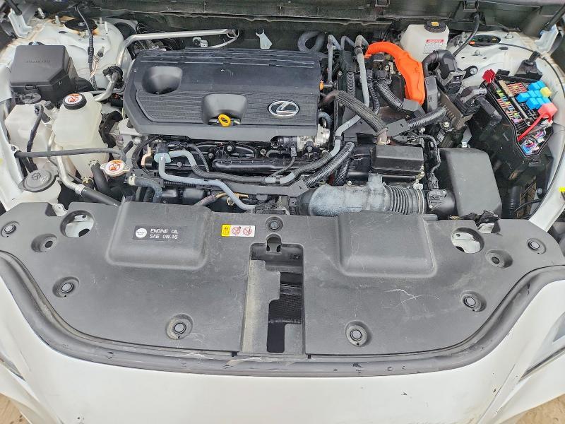 2024 LEXUS NX 350H PREMIUM — Фото 12 из 13