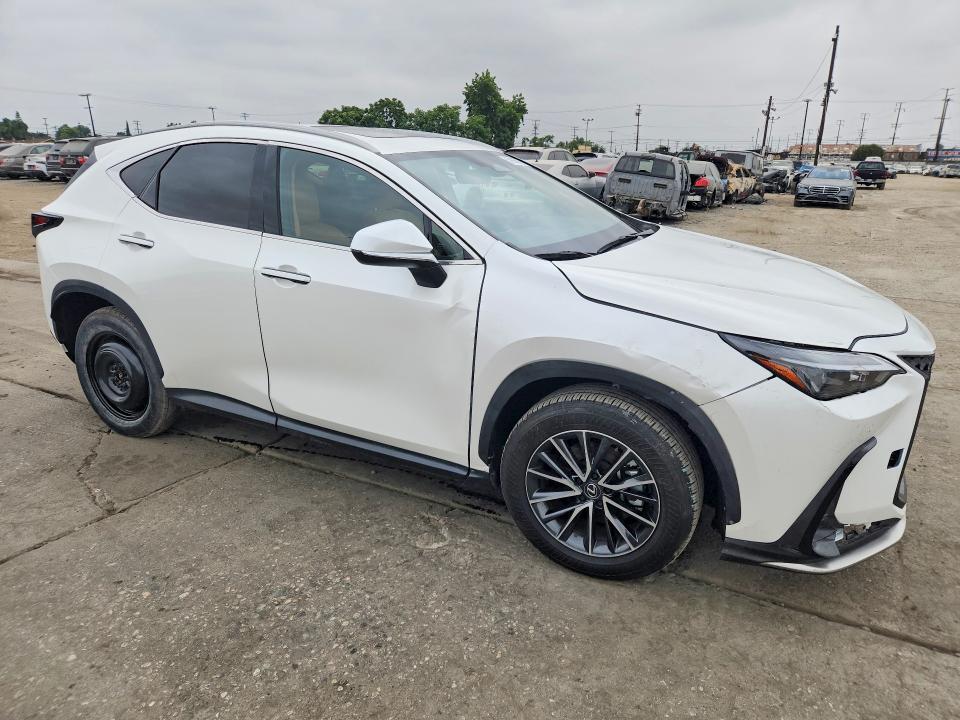 2024 LEXUS NX 350H PREMIUM — Фото 4 из 13