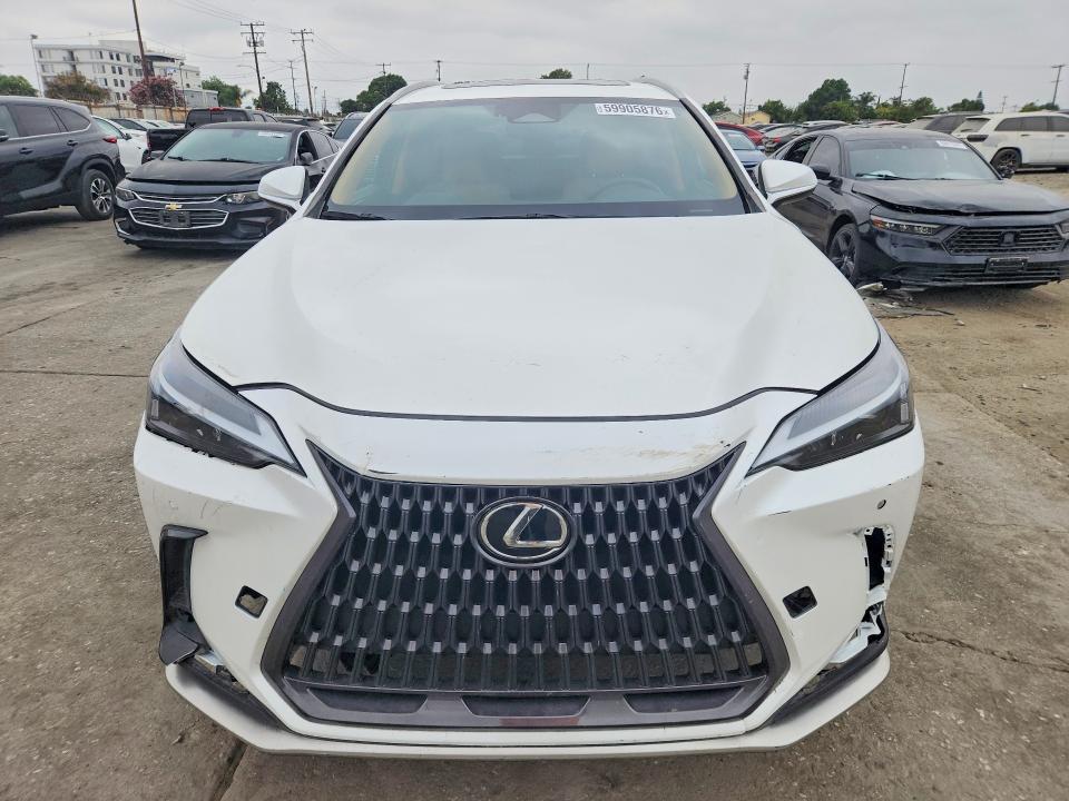 2024 LEXUS NX 350H PREMIUM — Фото 5 из 13