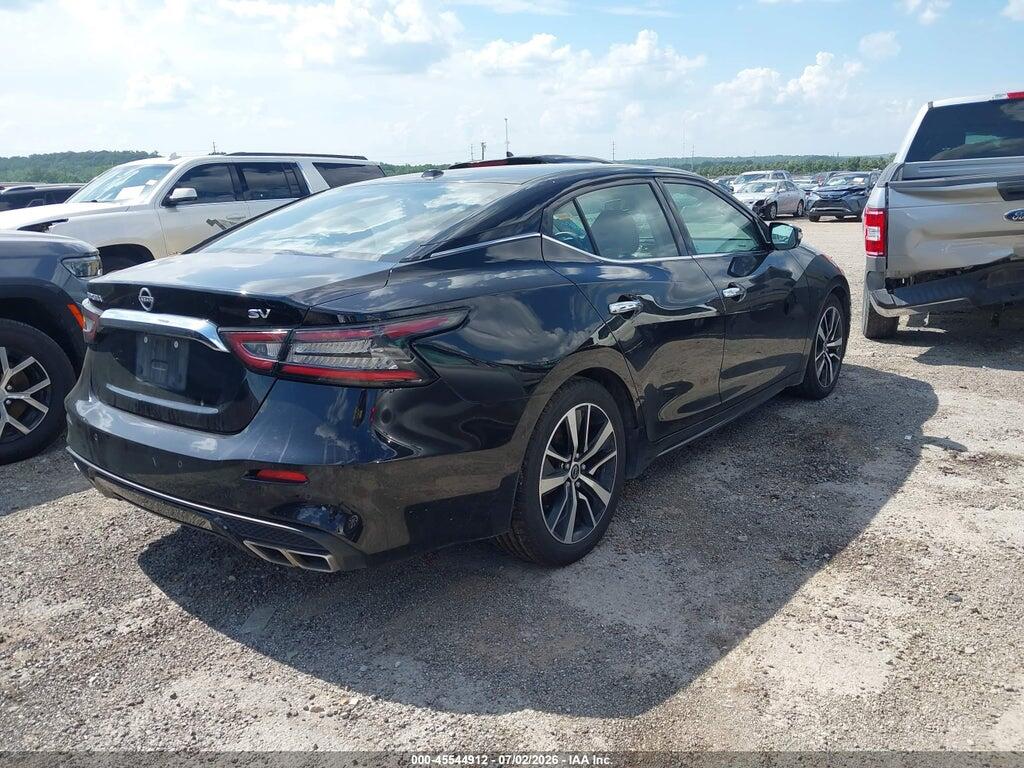 1N4AA6CV6PC509004 2023 NISSAN MAXIMA photo no. 4
