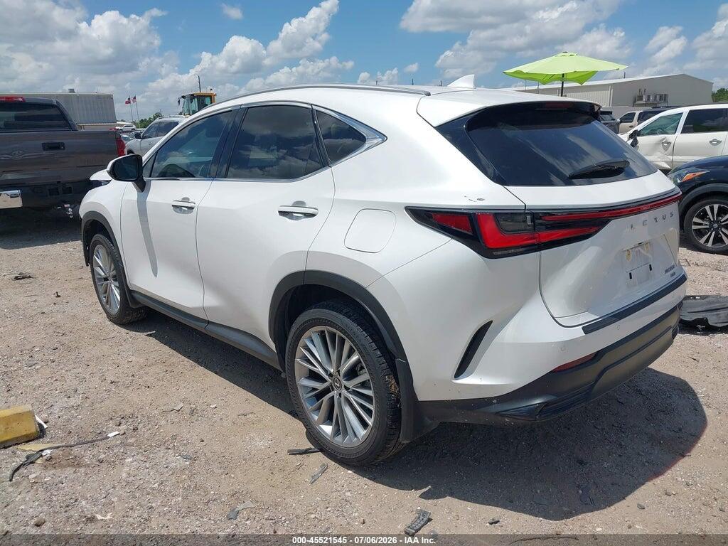 2T2GGCEZ0SC065812 2025 LEXUS NX 350 photo no. 3